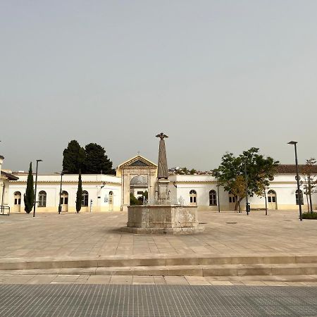 Beautiful Brand New 2 Bedroom Flat With Terrace Malaga Exterior photo